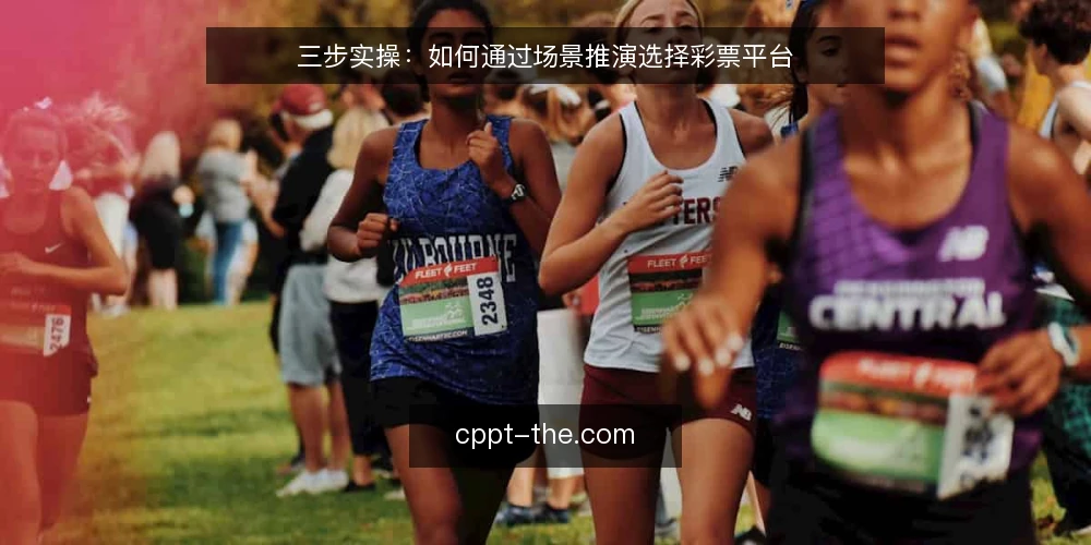 三步实操：如何通过场景推演选择彩票平台 — 场景设定：一个典型的需求背景 配图