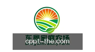 彩票平台